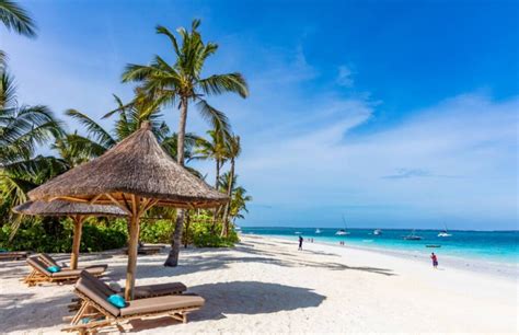 zanzibet photos|14,468 Zanzibar Island Stock Photos and High.